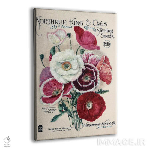 تابلو دکوراتیو بذر استرلینگ، 1910، از کتابخانه باغبانی آندرسن اثر پیدیکس - نمای پرسپکتیو محصول