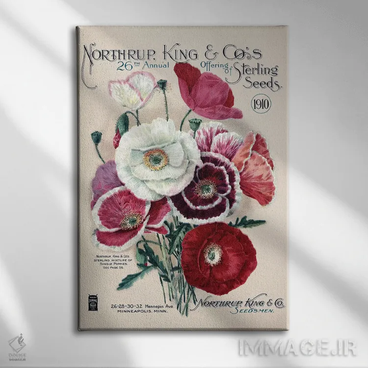 تابلو دکوراتیو بذر استرلینگ، 1910، از کتابخانه باغبانی آندرسن اثر پیدیکس - نمای روبهرو روی دیوار