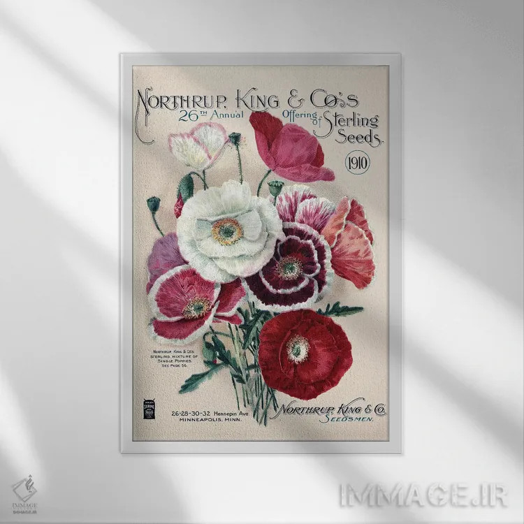 تابلو دکوراتیو بذر استرلینگ، 1910، از کتابخانه باغبانی آندرسن اثر پیدیکس - نمای قابدار سفید