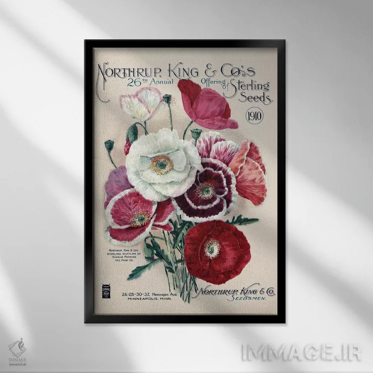 تابلو دکوراتیو بذر استرلینگ، 1910، از کتابخانه باغبانی آندرسن اثر پیدیکس - نمای قابدار مشکی