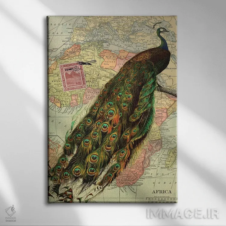 تابلو مدرن طاووس اثر پیدیکس - نمای روبهرو روی دیوار