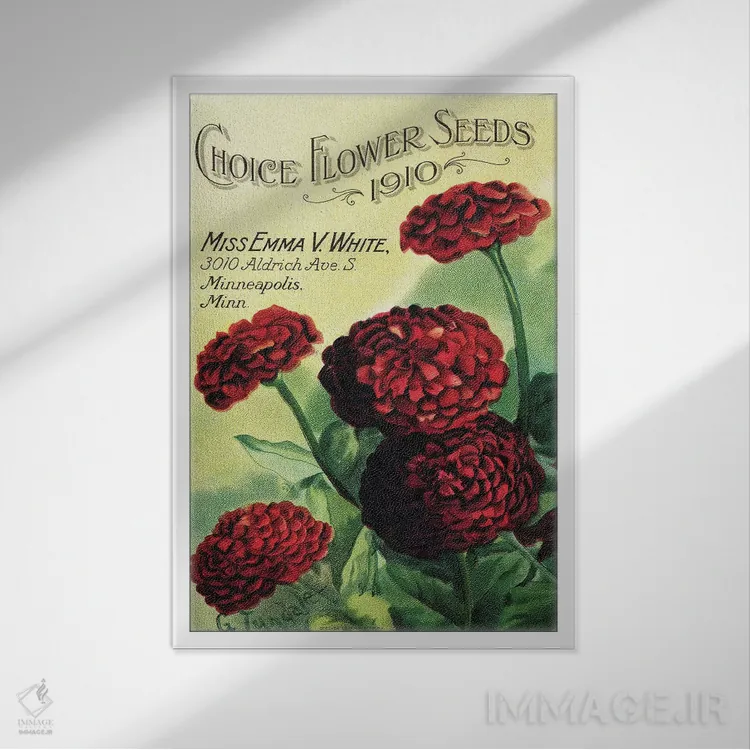 تابلو دکوراتیو بذر گل های انتخابی، 1910، از کتابخانه باغبانی آندرسن اثر پیدیکس - نمای قابدار سفید
