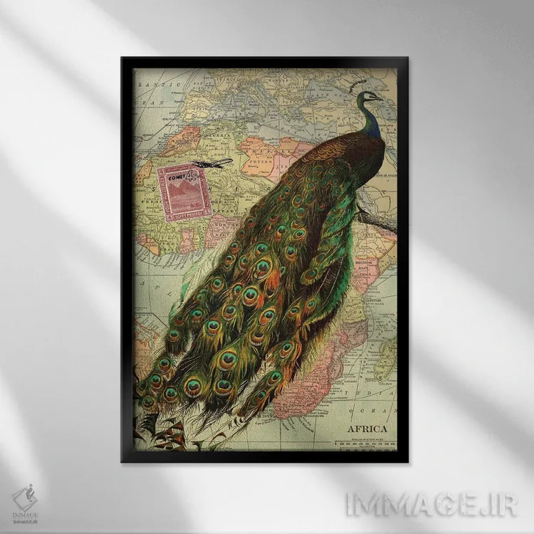 تابلو مدرن طاووس اثر پیدیکس - نمای قابدار مشکی