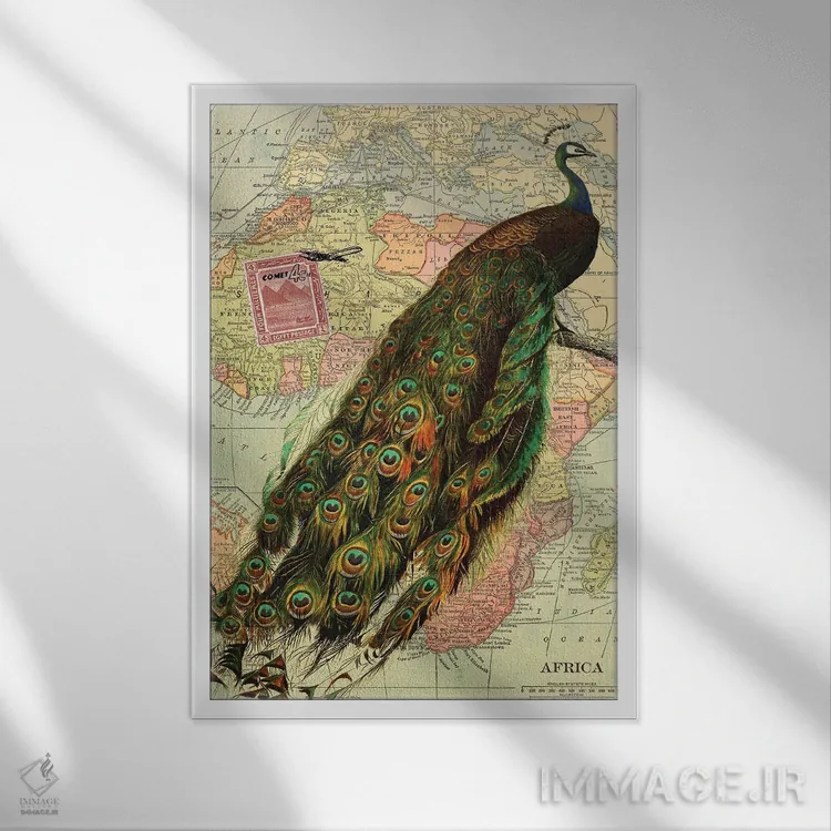 تابلو مدرن طاووس اثر پیدیکس - نمای قابدار سفید