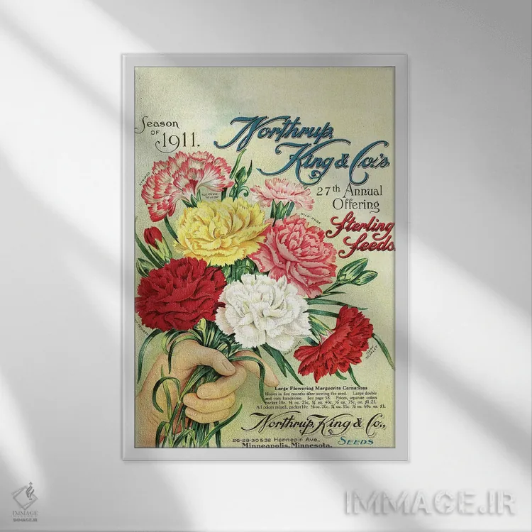 تابلو مدرن بذر استرلینگ، 1911، از کتابخانه باغبانی آندرسن اثر پیدیکس - نمای قابدار سفید