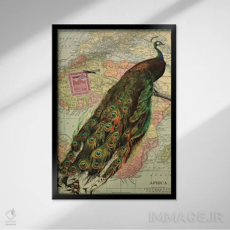 تابلو مدرن کولاژ طاووس روی نقشه آفریقا اثر پیدیکس - نمای قابدار مشکی