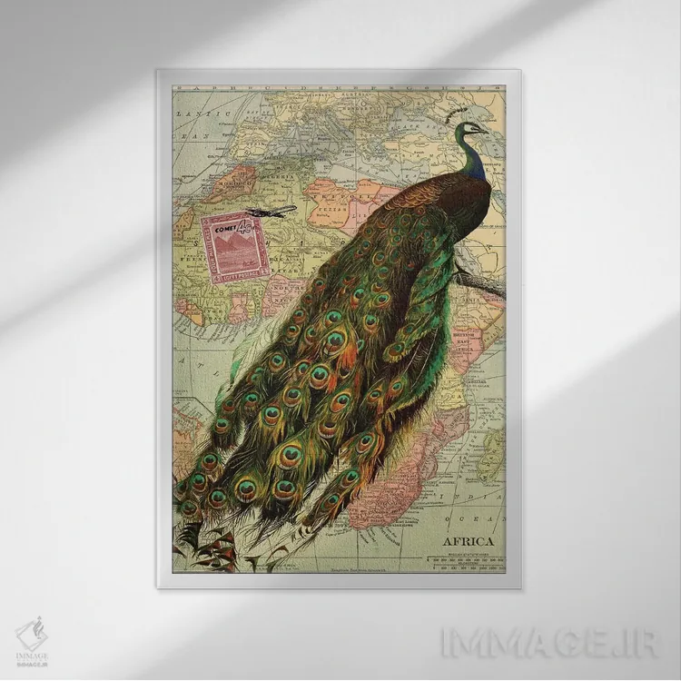 تابلو مدرن کولاژ طاووس روی نقشه آفریقا اثر پیدیکس - نمای قابدار سفید