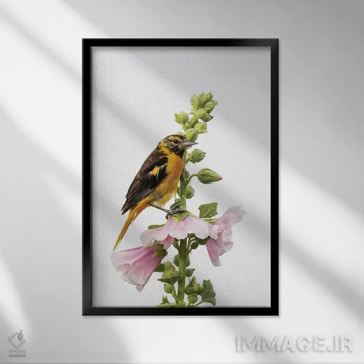 تابلو دکوراتیو Marion County, Illinois.,پریوش بالتیمور ماده روی گل خ… اثر ریچارد و سوزان دی - نمای قابدار مشکی