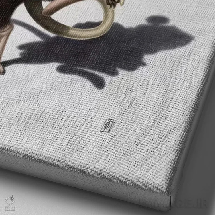 تابلو دکوراتیو مستراح اثر راب اسنو - نمای نزدیک بافت بوم