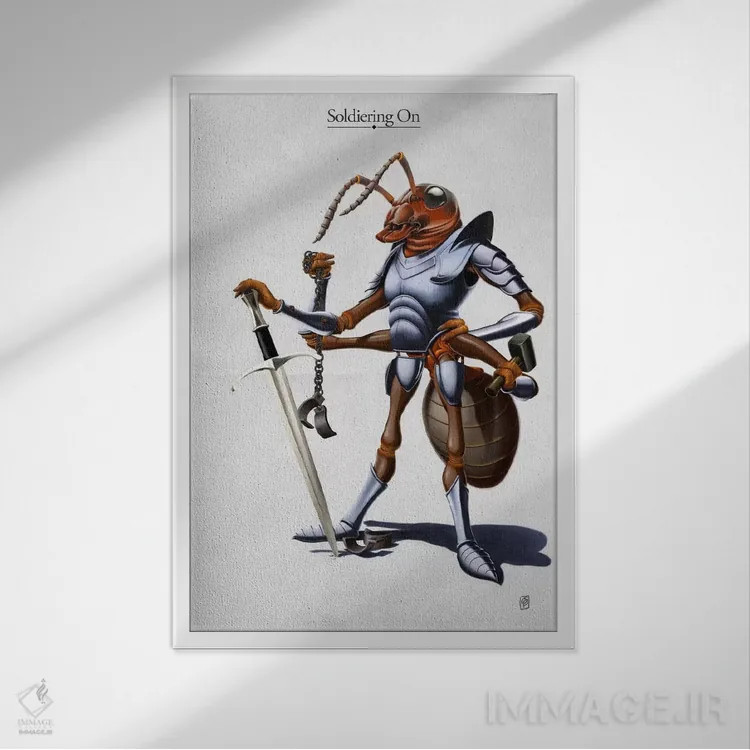 تابلو دکوراتیو سربازی ادامه دارد I اثر راب اسنو - نمای قابدار سفید