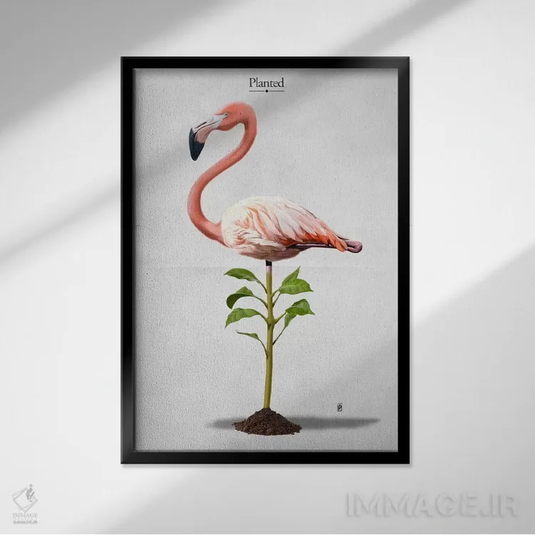 تابلو دکوراتیو کاشته شده I اثر راب اسنو - نمای قابدار مشکی