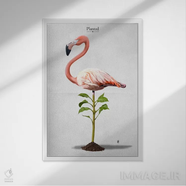 تابلو دکوراتیو کاشته شده I اثر راب اسنو - نمای قابدار سفید