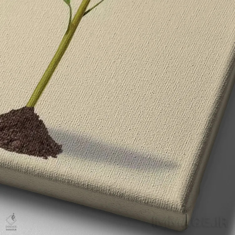 تابلو دکوراتیو کاشته شده III اثر راب اسنو - نمای نزدیک بافت بوم