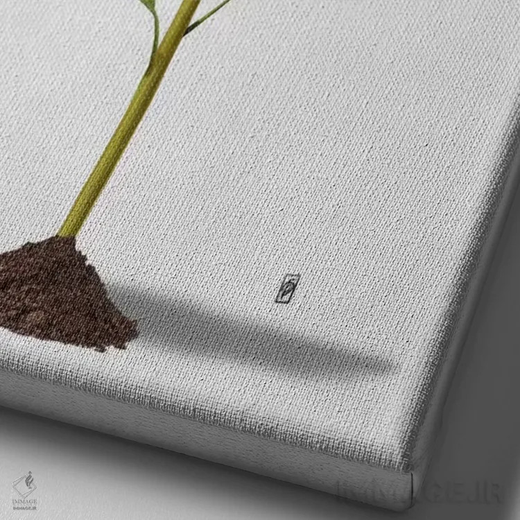 تابلو دکوراتیو کاشته شده II اثر راب اسنو - نمای نزدیک بافت بوم