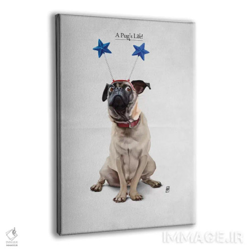 تابلو دکوراتیو زندگی یک پاگ I اثر راب اسنو - نمای پرسپکتیو محصول