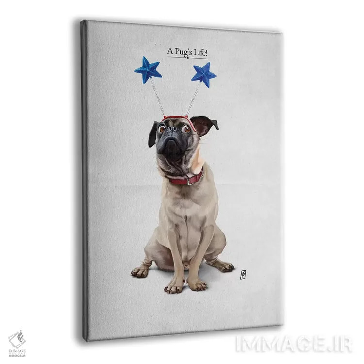 تابلو دکوراتیو زندگی یک پاگ I اثر راب اسنو - نمای پرسپکتیو محصول
