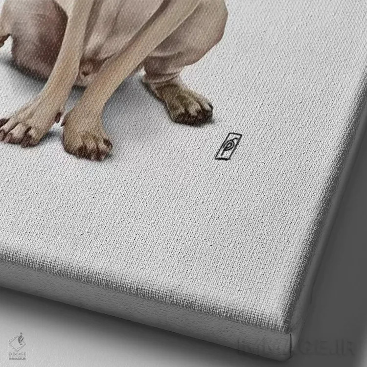 تابلو دکوراتیو زندگی یک پاگ I اثر راب اسنو - نمای نزدیک بافت بوم