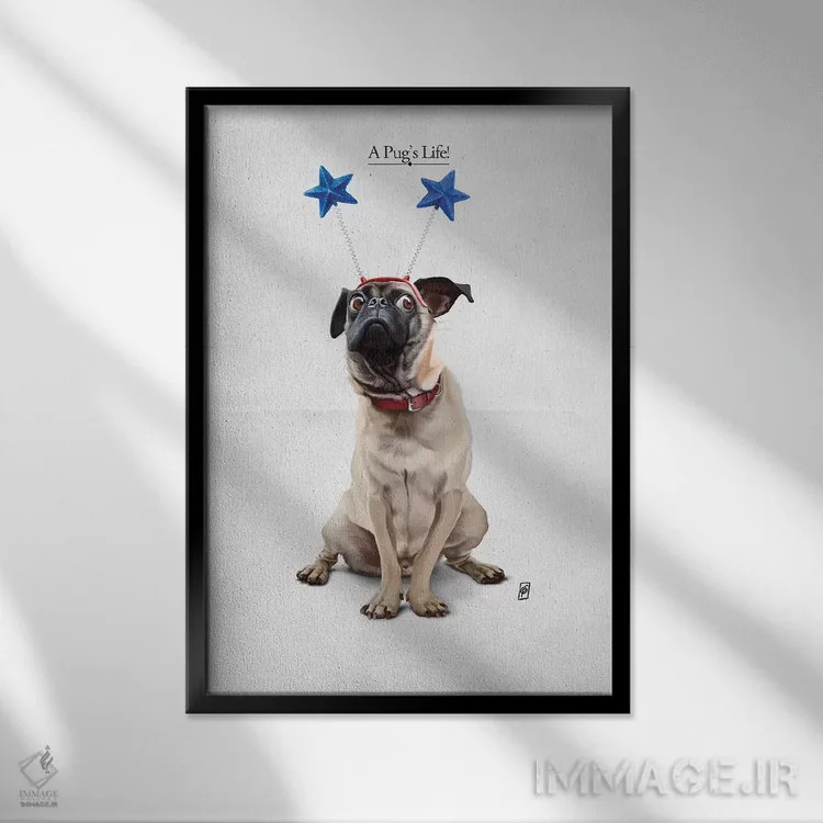 تابلو دکوراتیو زندگی یک پاگ I اثر راب اسنو - نمای قابدار مشکی