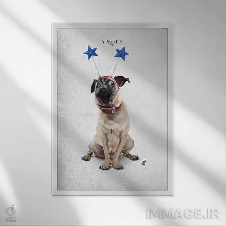 تابلو دکوراتیو زندگی یک پاگ I اثر راب اسنو - نمای قابدار سفید