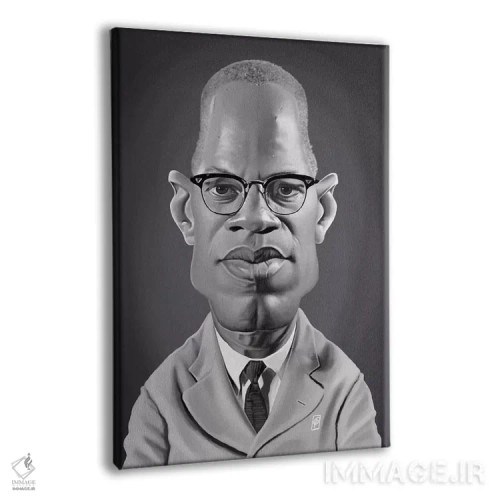 تابلو دکوراتیو مالکوم ایکس اثر راب اسنو - نمای پرسپکتیو محصول