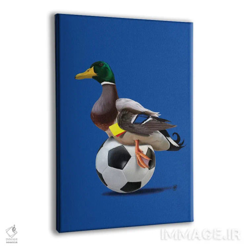 تابلو دکوراتیو رنگ پرنده اثر راب اسنو - نمای پرسپکتیو محصول