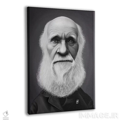 تابلو دکوراتیو چارلز داروین اثر راب اسنو - نمای پرسپکتیو محصول