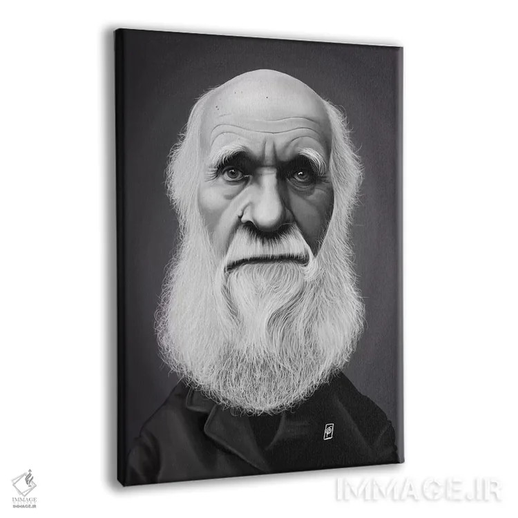 تابلو دکوراتیو چارلز داروین اثر راب اسنو - نمای پرسپکتیو محصول