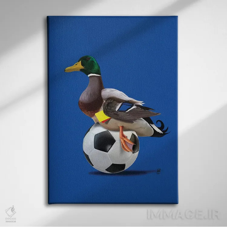 تابلو دکوراتیو رنگ پرنده اثر راب اسنو - نمای روبهرو روی دیوار