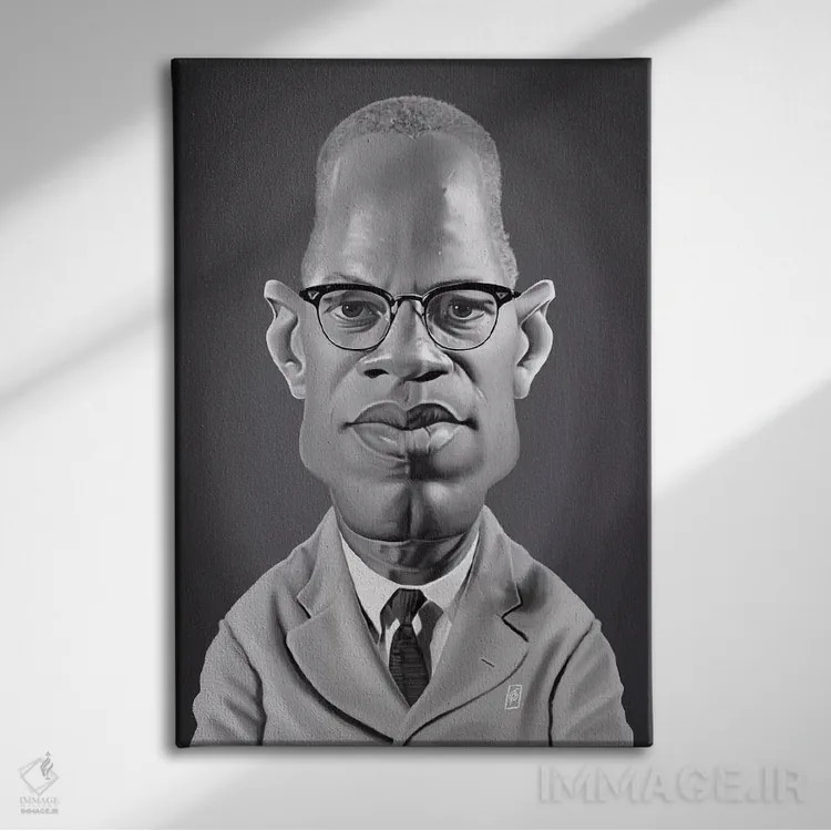 تابلو دکوراتیو مالکوم ایکس اثر راب اسنو - نمای روبهرو روی دیوار