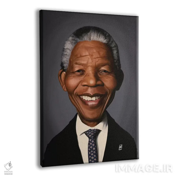 تابلو دکوراتیو نلسون ماندلا اثر راب اسنو - نمای پرسپکتیو محصول