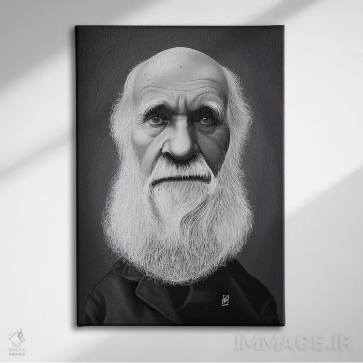 تابلو دکوراتیو چارلز داروین اثر راب اسنو - نمای روبهرو روی دیوار