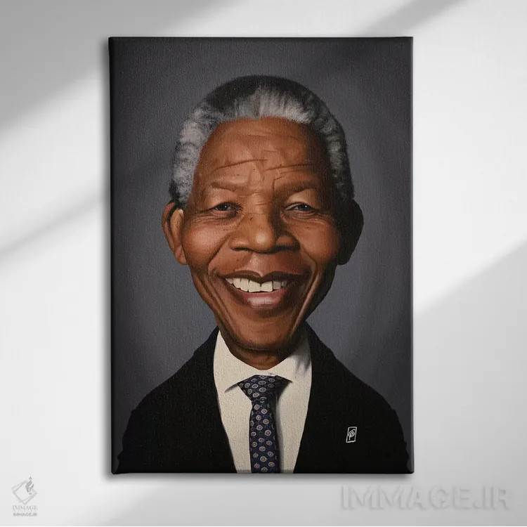 تابلو دکوراتیو نلسون ماندلا اثر راب اسنو - نمای روبهرو روی دیوار