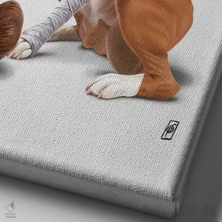 تابلو دکوراتیو بوکسور I اثر راب اسنو - نمای نزدیک بافت بوم