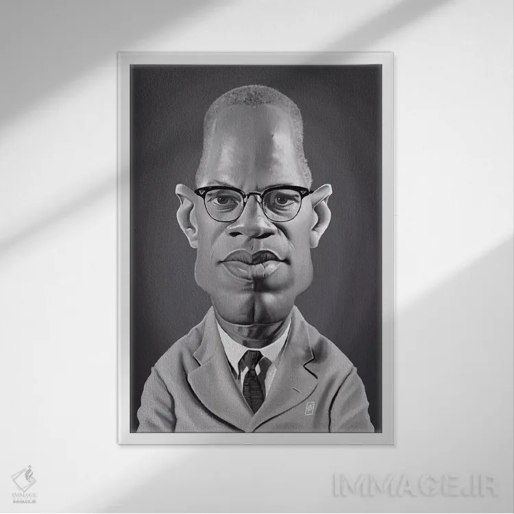 تابلو دکوراتیو مالکوم ایکس اثر راب اسنو - نمای قابدار سفید