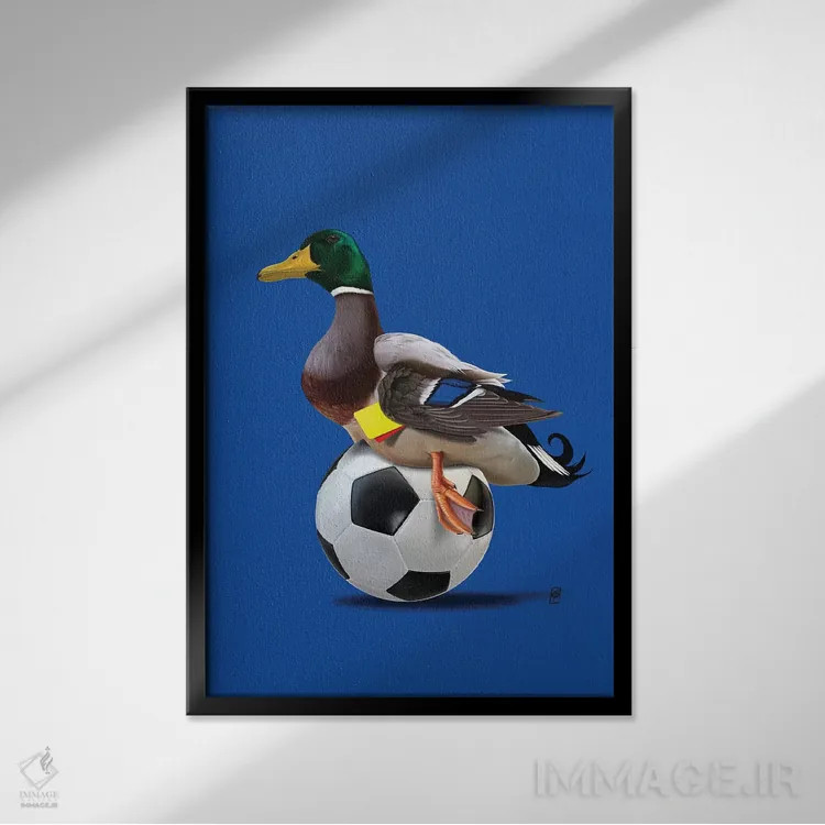 تابلو دکوراتیو رنگ پرنده اثر راب اسنو - نمای قابدار مشکی