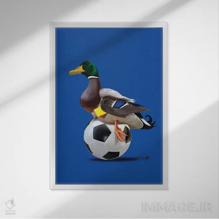 تابلو دکوراتیو رنگ پرنده اثر راب اسنو - نمای قابدار سفید