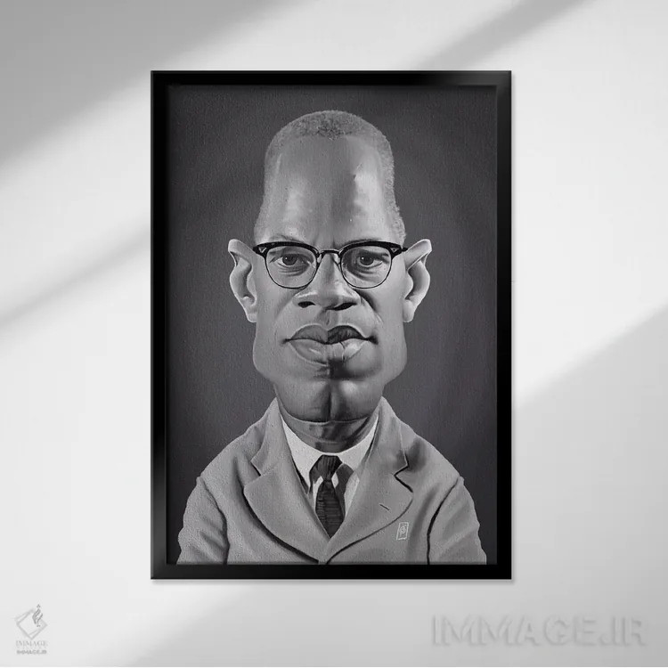 تابلو دکوراتیو مالکوم ایکس اثر راب اسنو - نمای قابدار مشکی