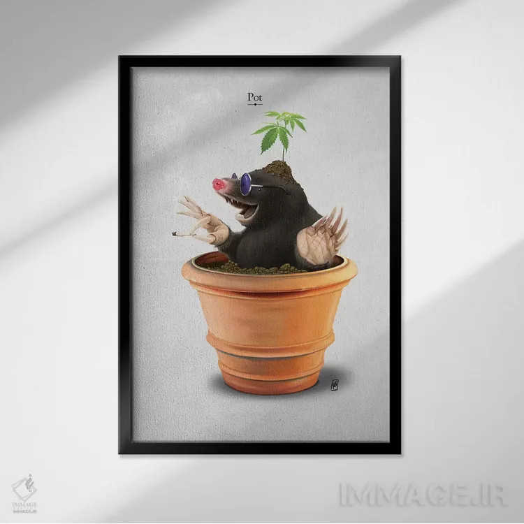 تابلو دکوراتیو قابلمه I اثر راب اسنو - نمای قابدار مشکی