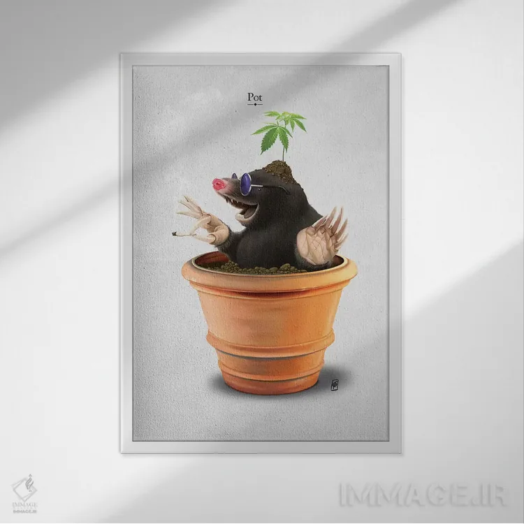 تابلو دکوراتیو قابلمه I اثر راب اسنو - نمای قابدار سفید