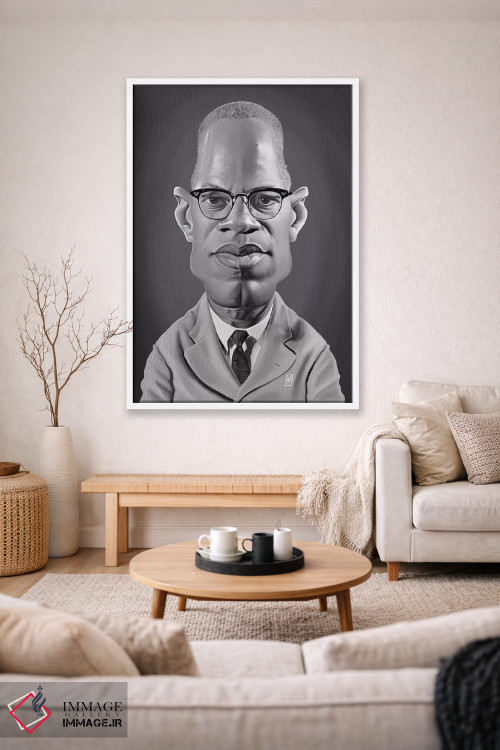 تابلو دکوراتیو مالکوم ایکس اثر راب اسنو - D1W