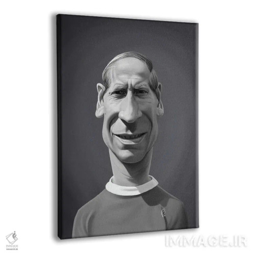 تابلو دکوراتیو بابی چارلتون اثر راب اسنو - نمای پرسپکتیو محصول