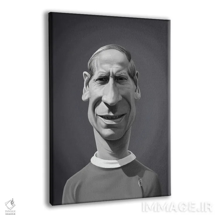 تابلو دکوراتیو بابی چارلتون اثر راب اسنو - نمای پرسپکتیو محصول