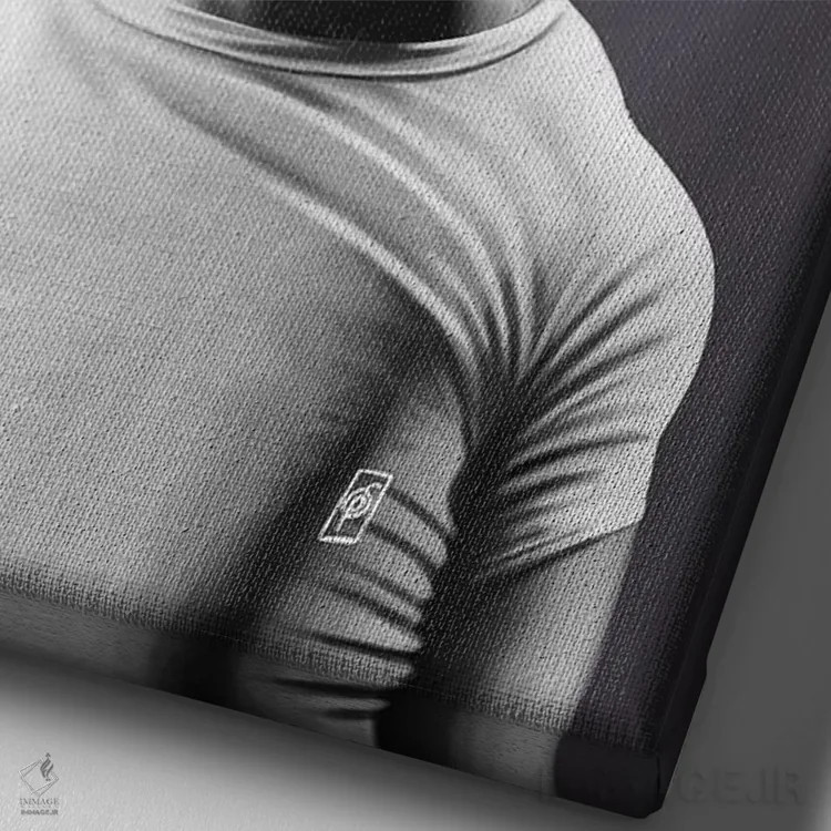 تابلو دکوراتیو مارلون براندو اثر راب اسنو - نمای نزدیک بافت بوم