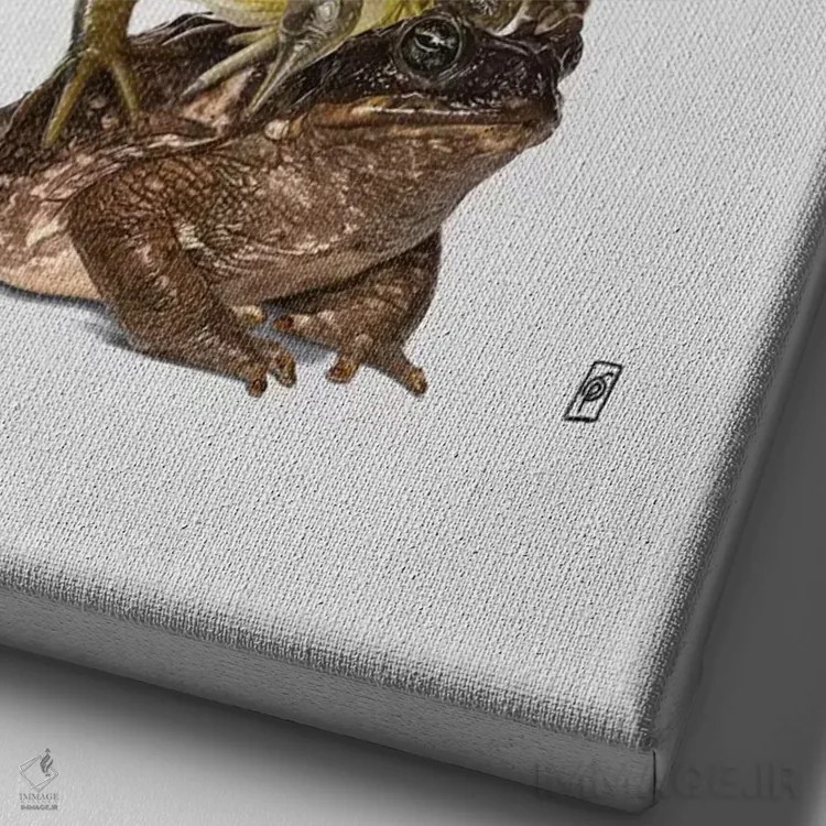 تابلو دکوراتیو قارچ زهرآلود اثر راب اسنو - نمای نزدیک بافت بوم