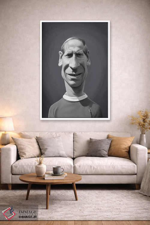 تابلو دکوراتیو بابی چارلتون اثر راب اسنو - D1W