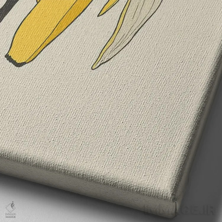 تابلو مینیمال بنانا اسپلیت اثر راب اسنو - نمای نزدیک بافت بوم