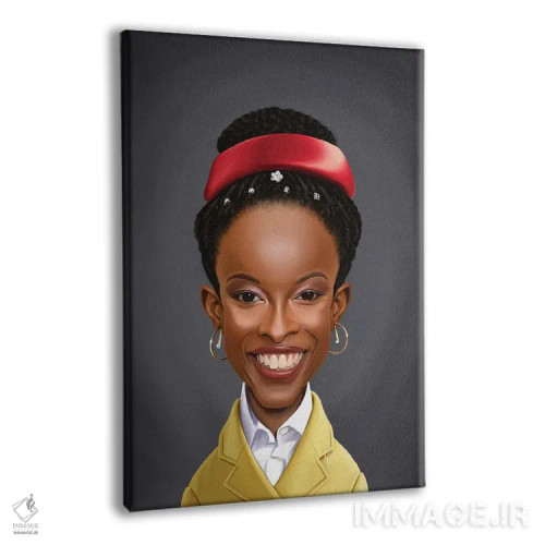 تابلو دکوراتیو آماندا گورمن اثر راب اسنو - نمای پرسپکتیو محصول