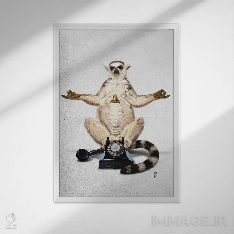 تابلو دکوراتیو حلقه اثر راب اسنو - نمای قابدار سفید