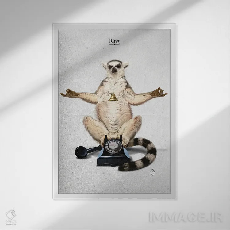 تابلو دکوراتیو حلقه اثر راب اسنو - نمای قابدار سفید