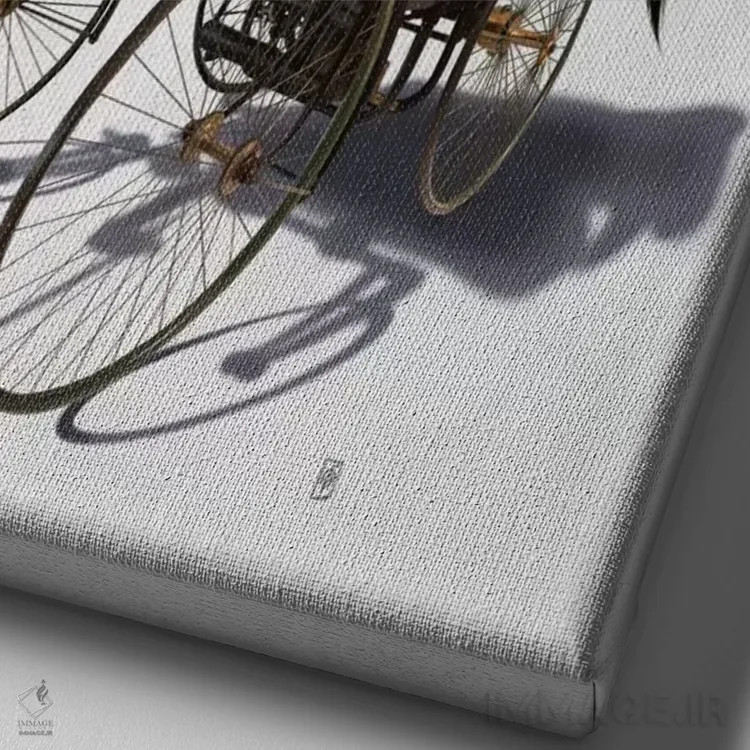 تابلو دکوراتیو قدرت اسب ۲ اثر راب اسنو - نمای نزدیک بافت بوم